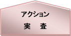 実査